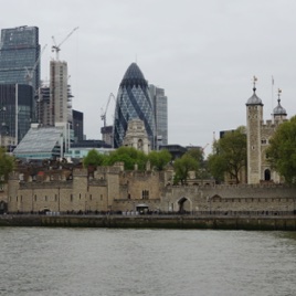 DSC02654.JPG DSC02654.JPG